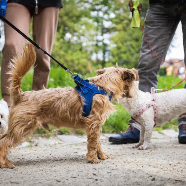 Begegnungstraining Fr 15.00 Uhr