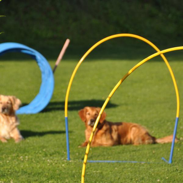 Hoopers 2.0 Workshop