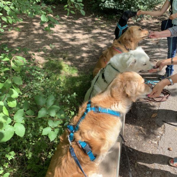 Alltag und Basic Sonntags