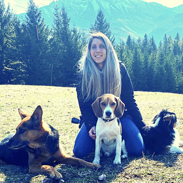 Erziehungsspaziergang/Alltagstraining