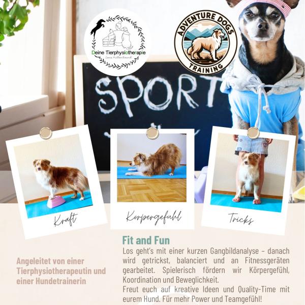 Physiowalk Fit and Fun