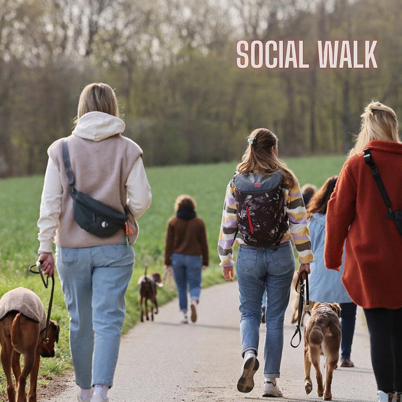 Social Walk