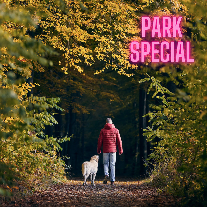 Alltagssicherheit bei Hundebegegnungen