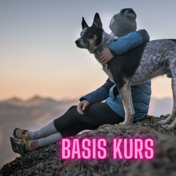 Basis Kurs