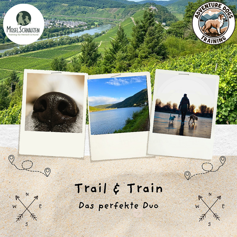 Trail & Train 🍂 🍇 🐶
