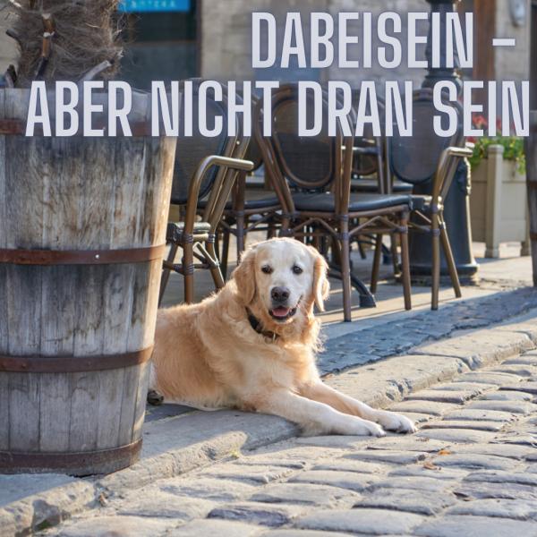 Dabeisein - aber nicht dran sein