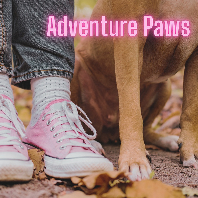 Adventure Paws