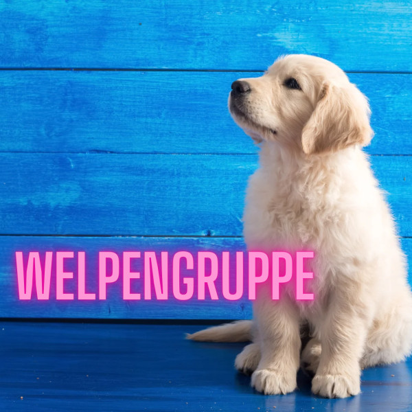 Welpengruppe