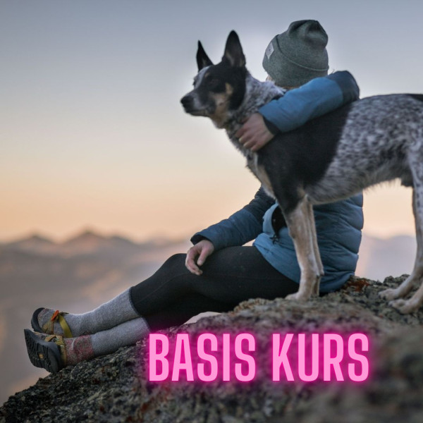 Basiskurs