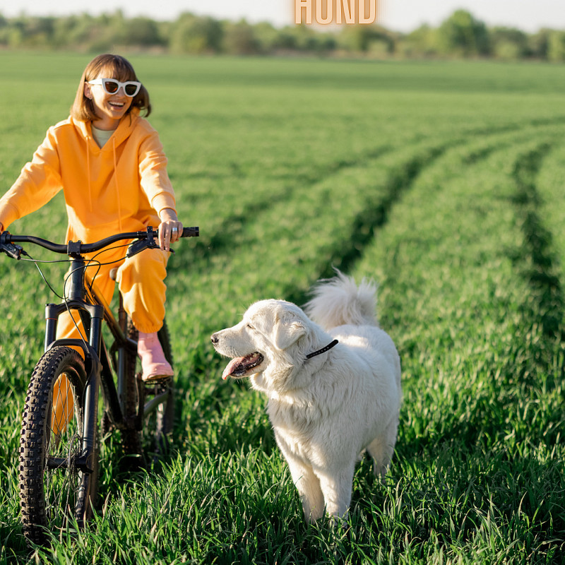 Bike & Dog – der Fahrradführerschein mit deinem Hund