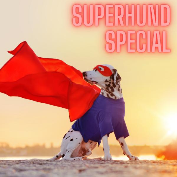 Superhund Special