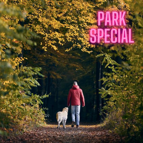 Alltagssicherheit bei Hundebegegnungen