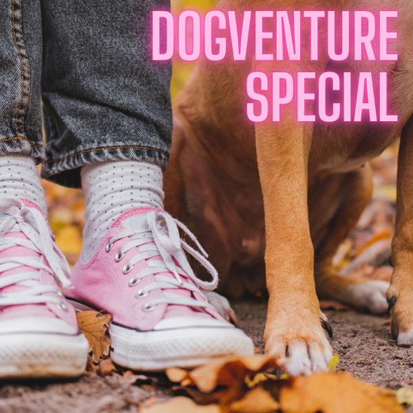 Dogventure