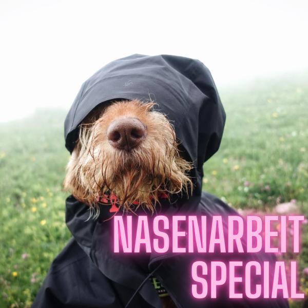 Spuren im Nebel
