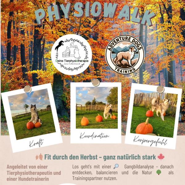 Physiowalk