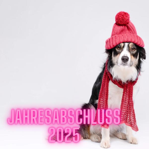 Jahresabschluss 2025