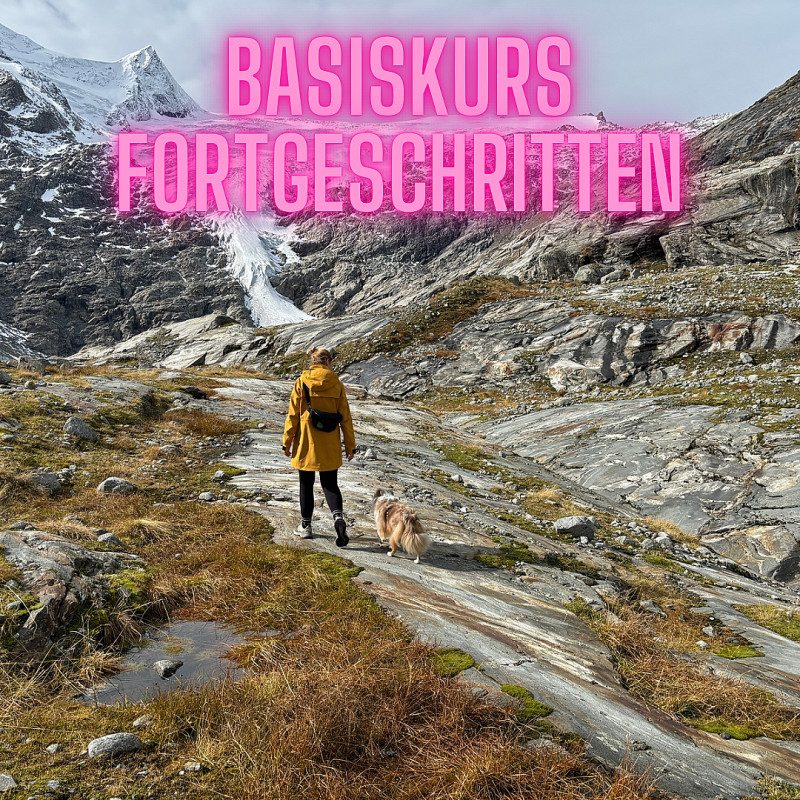 Basis Kurs Fortgeschritten