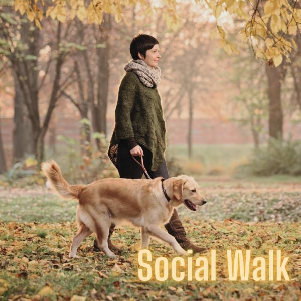 Social Walk