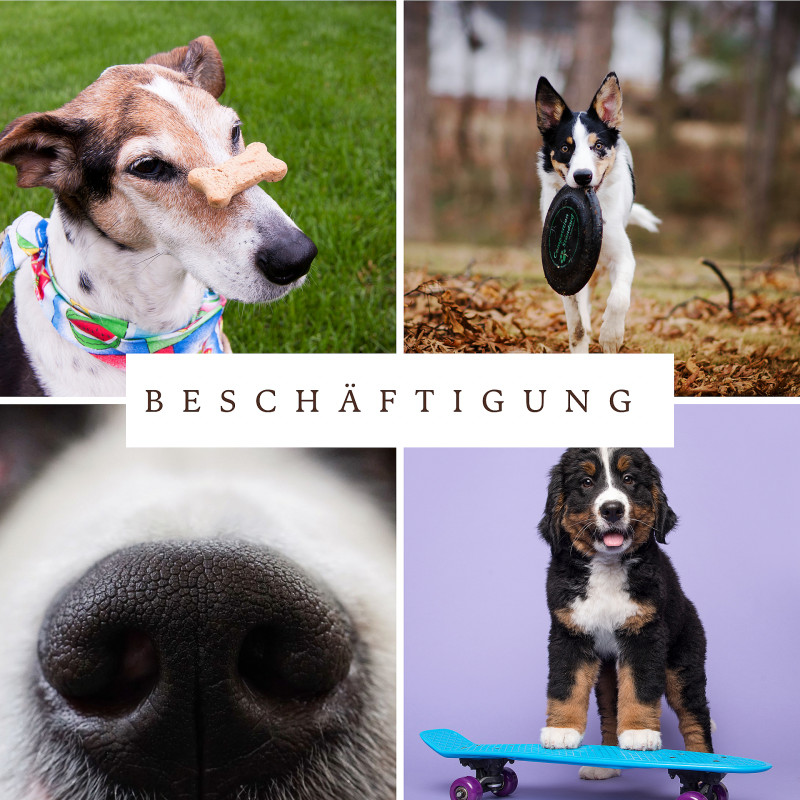 Beschäftigung