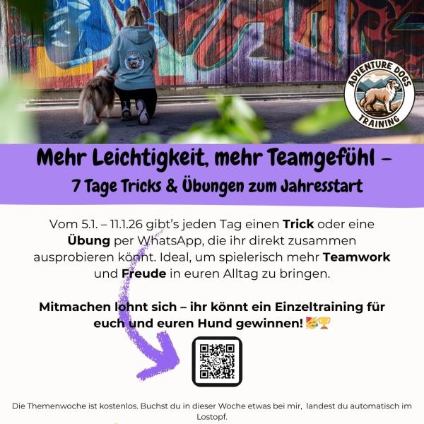Mehr Leichtigkeit, mehr Teamgefühl –  7 Tage Tricks & Übungen zum Jahresstart