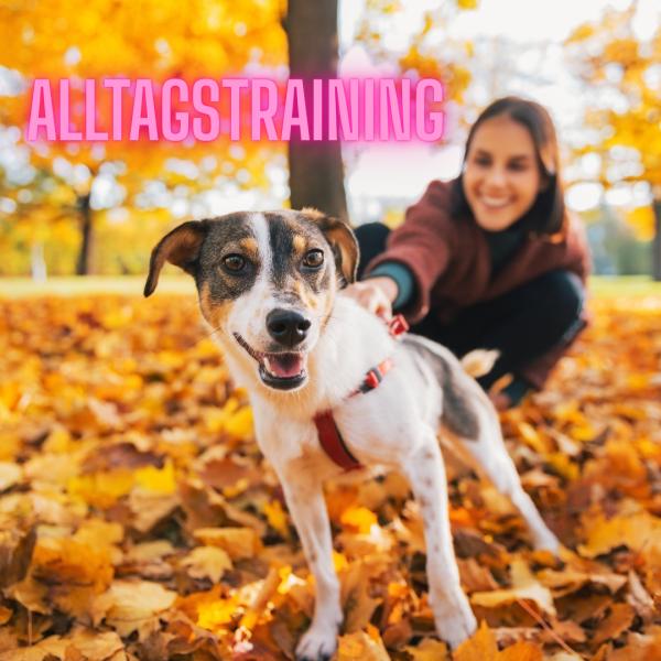 Alltagstraining