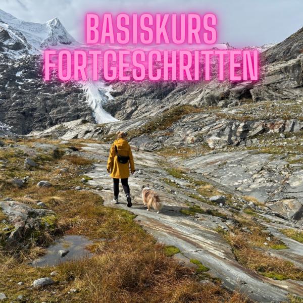 Basis Kurs Fortgeschritten