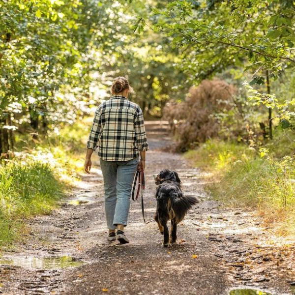 LASS MAL LOCKER – Leinenkurs Modul 1