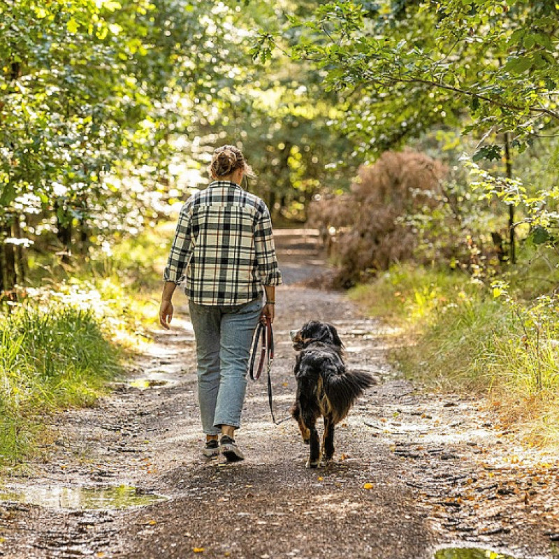 LASS MAL LOCKER – Leinenkurs Modul 1