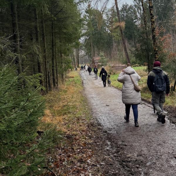 Hundewanderung