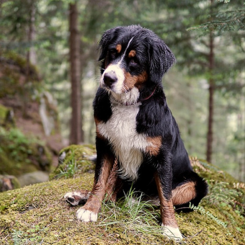 Die jungen Wilden – Gelassen durch die Pubertät