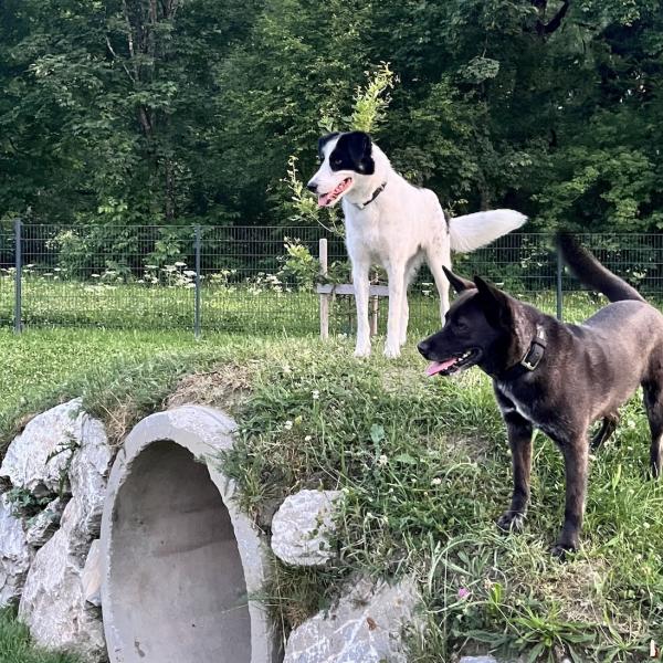 Beschäftigungsgruppe