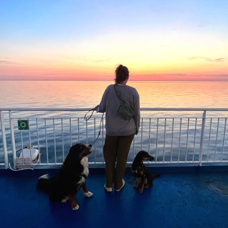 Urlaub mit Hund