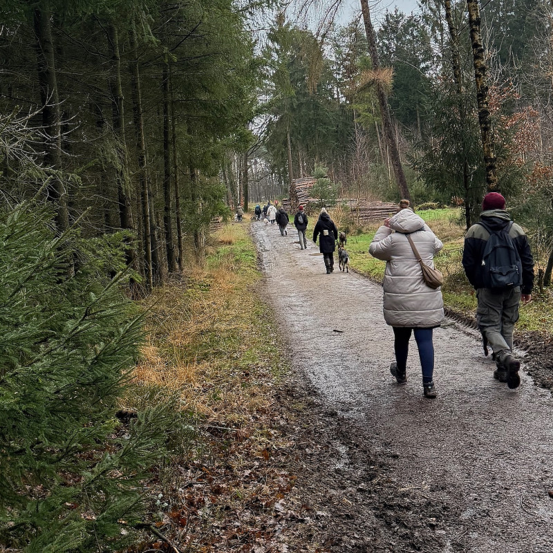 Hundewanderung