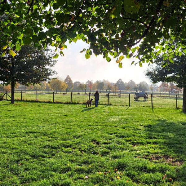 Intensivkurs "Kommandos auf Distanz"