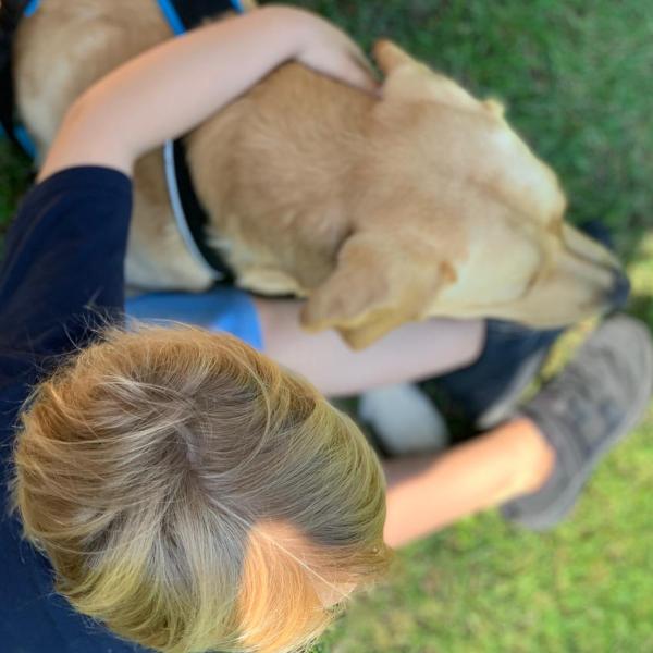 Start der TGI-Ausbildung 2026