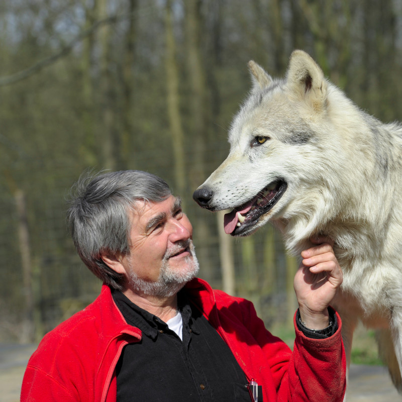 "Warum Hunde uns zu besseren Menschen machen"
