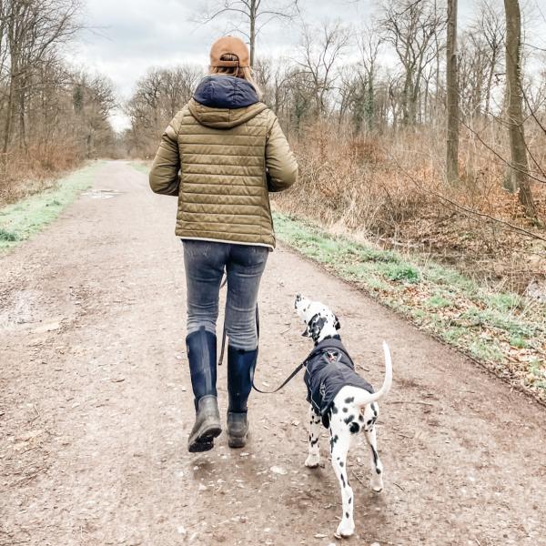 Intensivkurs "Leinenführigkeit"