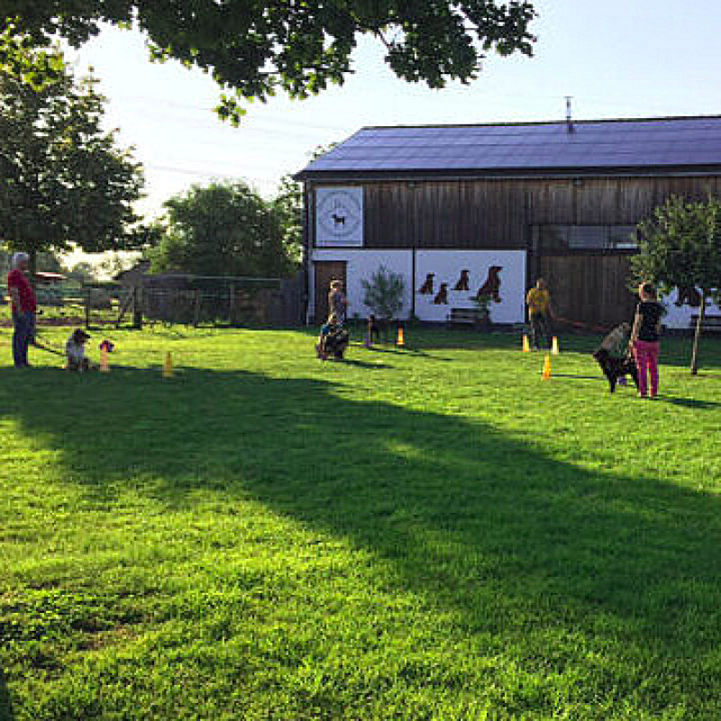 Agility Sommertraining Di 18:15