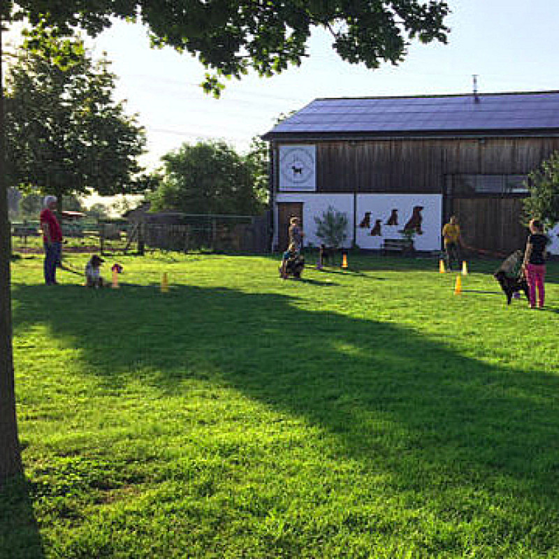 Agility Sommertraining Mi 18:15