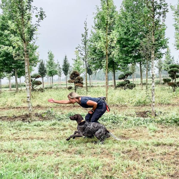 Apportieren Fr 09:00