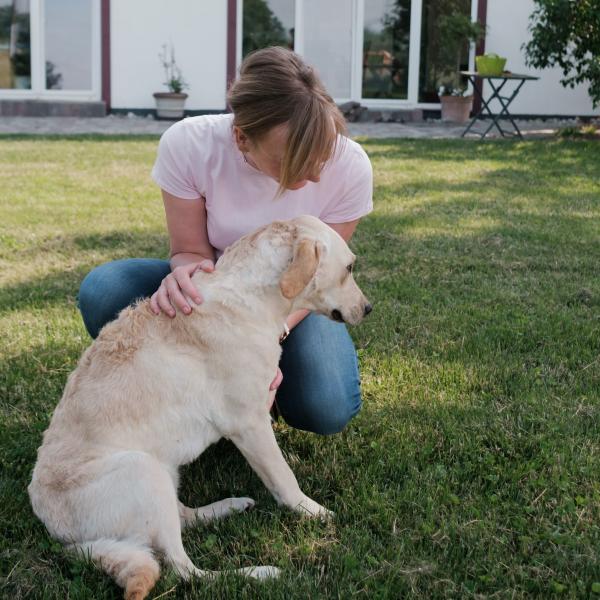 Möglichkeiten & Grenzen der Tier-Gestützten-Intervention