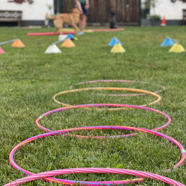 Schnupperkurs "Degility"