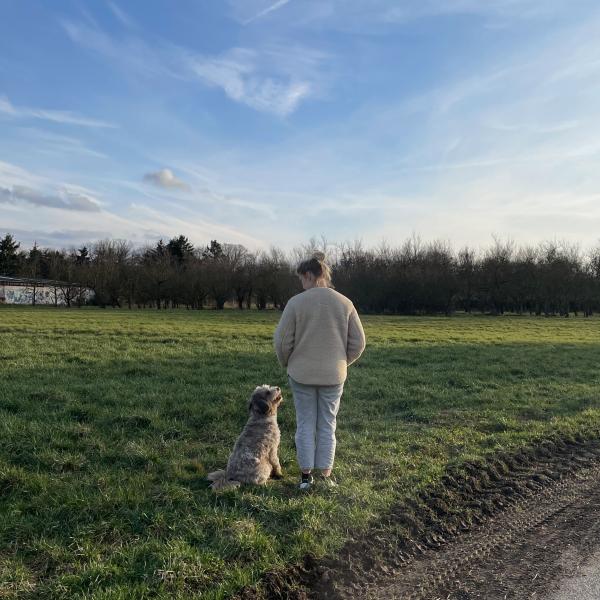 "Lerne Deinen Hund jederzeit sicher zu lesen"