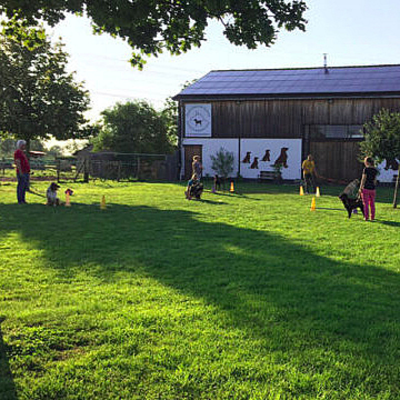 Agility Sommertraining Di 17:00
