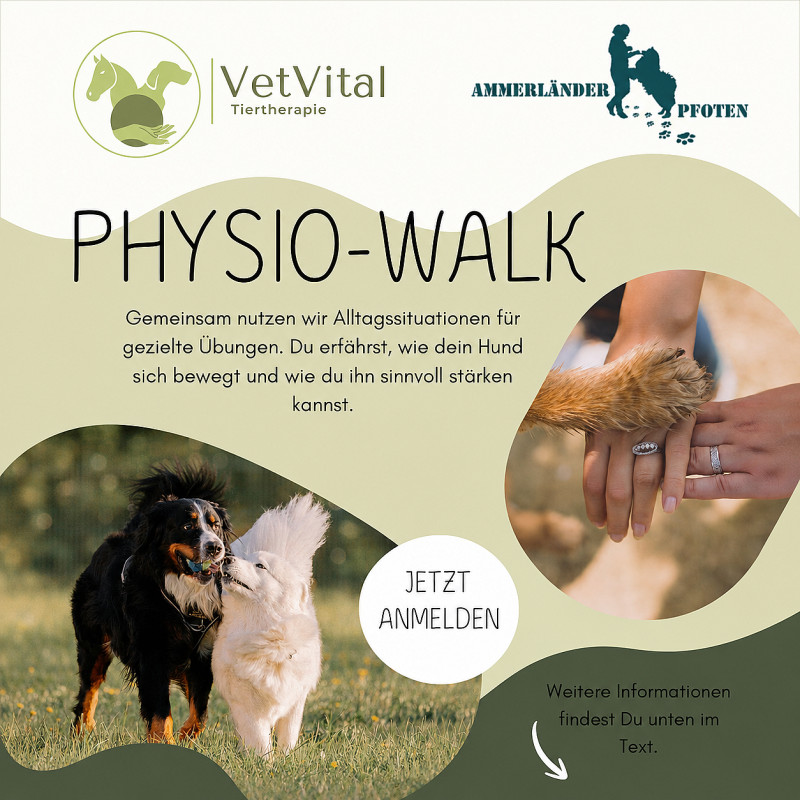 Physio Walk