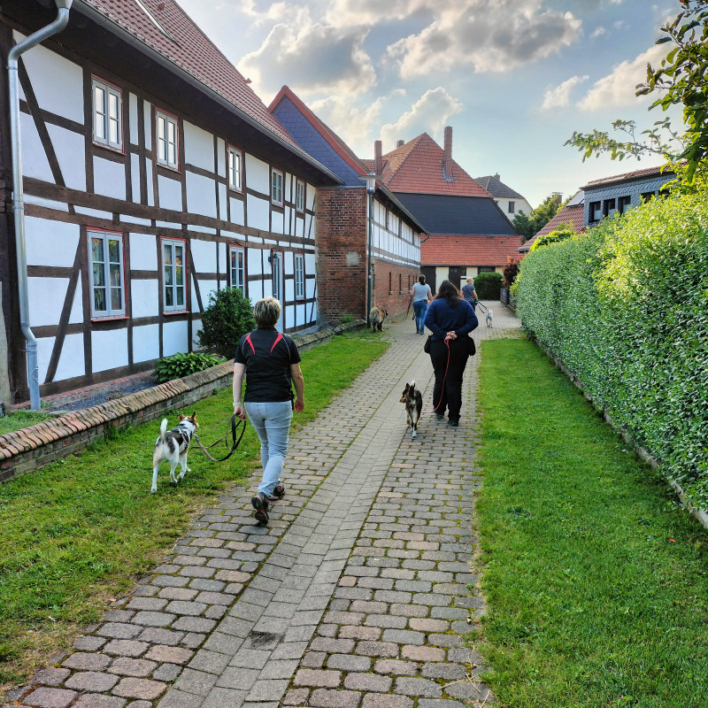 Trainingsspaziergang