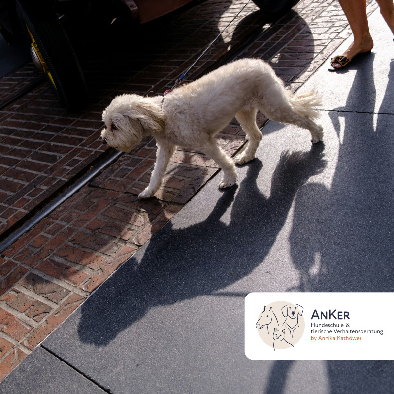 Alltagsspaziergang in der Stadt