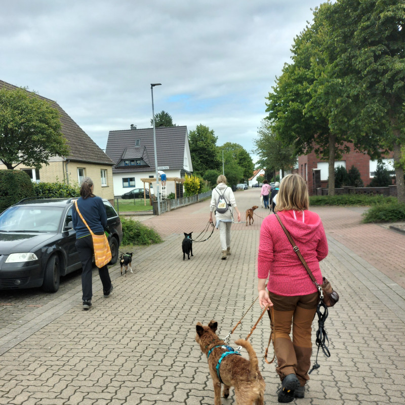 Trainingsspaziergang