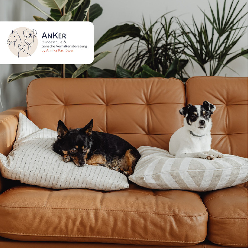 Online-Kurs: Trennungsstress