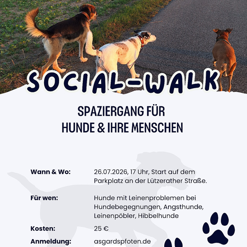 Social Walk